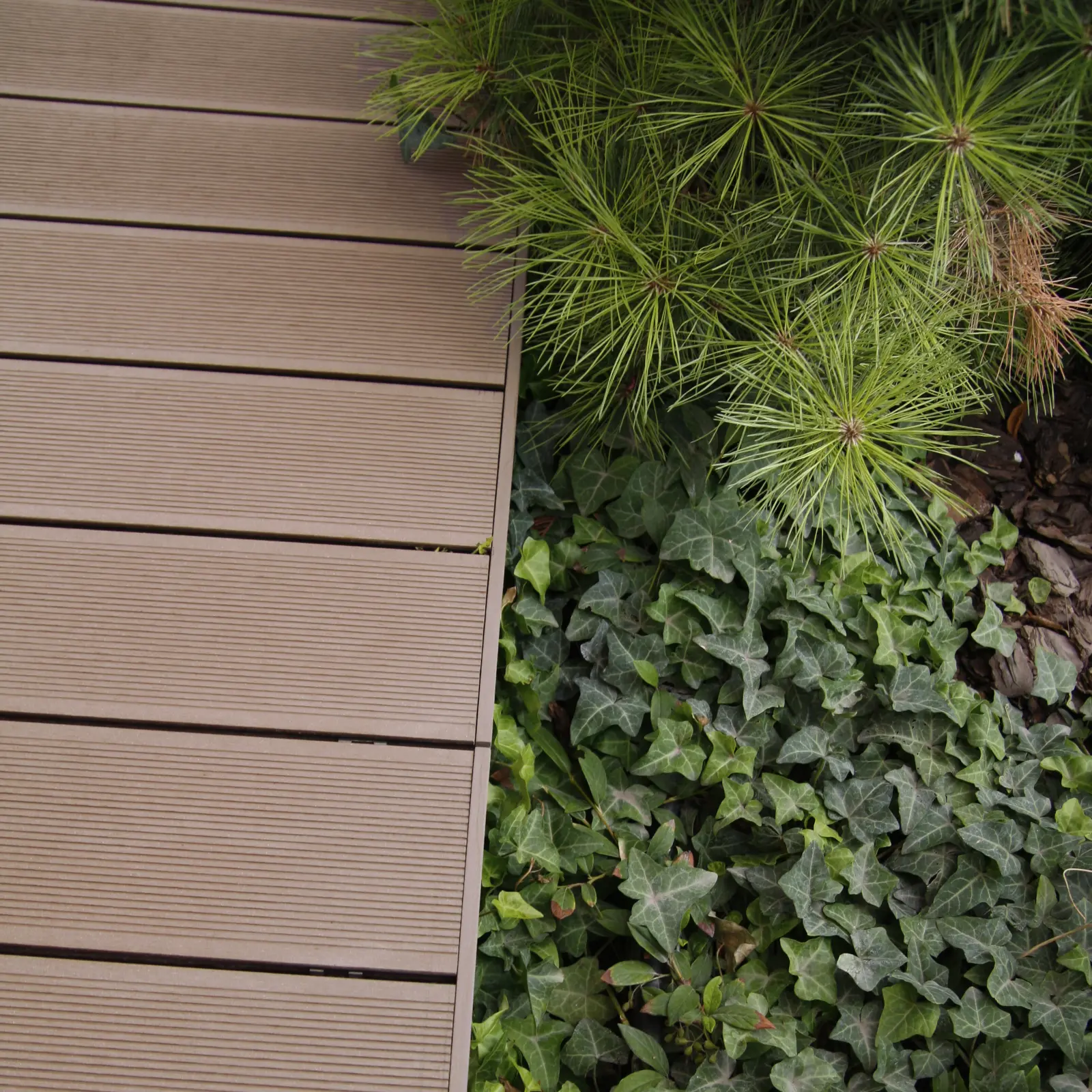 Mahagóni színű TerraDeck wpc padló